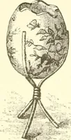 Picture 198 of 391 from Dainty work for pleasure and profit (1891), leaf 221