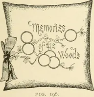Picture 206 of 391 from Dainty work for pleasure and profit (1891), leaf 226