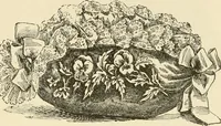 An illustration from Dainty work for pleasure and profit (1891)