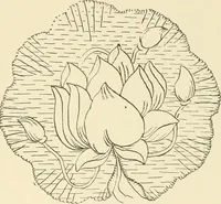 Picture 230 of 391 from Dainty work for pleasure and profit (1891), leaf 248