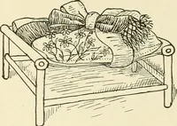 Picture 237 of 391 from Dainty work for pleasure and profit (1891), leaf 254