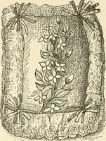 Picture 240 of 391 from Dainty work for pleasure and profit (1891), leaf 256