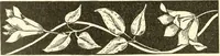 An illustration from Dainty work for pleasure and profit (1891)