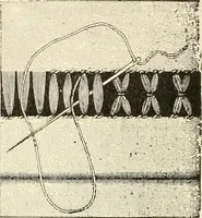An illustration from Dainty work for pleasure and profit (1891)
