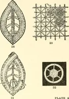 An illustration from Dainty work for pleasure and profit (1891)