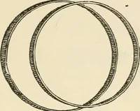 An illustration from Dainty work for pleasure and profit (1891)