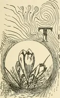 Picture 376 of 391 from Dainty work for pleasure and profit (1891), leaf 460