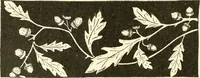 An illustration from Dainty work for pleasure and profit (1891)