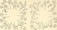 An illustration from Dainty work for pleasure and profit (1891)
