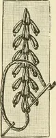 An illustration from Dainty work for pleasure and profit (1891)