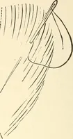 An illustration from Dainty work for pleasure and profit (1891)