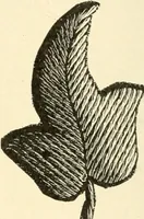 An illustration from Dainty work for pleasure and profit (1891)