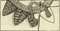 Picture 28 of 391 from Dainty work for pleasure and profit (1891), leaf 63