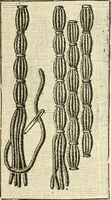 An illustration from Dainty work for pleasure and profit (1891)