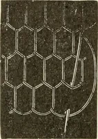 An illustration from Dainty work for pleasure and profit (1891)
