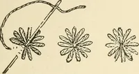 An illustration from Dainty work for pleasure and profit (1891)