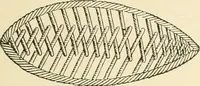 An illustration from Dainty work for pleasure and profit (1891)