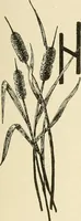 An illustration from Dainty work for pleasure and profit (1891)