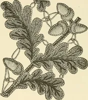 An illustration from Dainty work for pleasure and profit (1891)