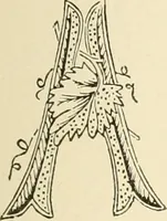 An illustration from Dainty work for pleasure and profit (1891)