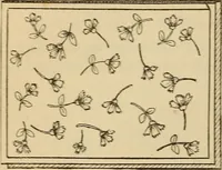 An illustration from Dainty work for pleasure and profit (1893)