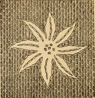 Picture 103 of 399 from Dainty work for pleasure and profit (1893), leaf 105