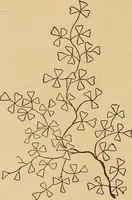 An illustration from Dainty work for pleasure and profit (1893)