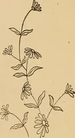 Picture 108 of 399 from Dainty work for pleasure and profit (1893), leaf 111