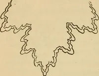 An illustration from Dainty work for pleasure and profit (1893)
