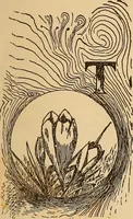 Picture 115 of 399 from Dainty work for pleasure and profit (1893), leaf 115
