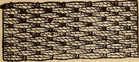 Picture 124 of 399 from Dainty work for pleasure and profit (1893), leaf 121