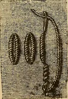 Picture 128 of 399 from Dainty work for pleasure and profit (1893), leaf 122