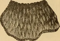 Picture 131 of 399 from Dainty work for pleasure and profit (1893), leaf 125