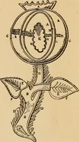 Picture 133 of 399 from Dainty work for pleasure and profit (1893), leaf 127