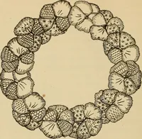 An illustration from Dainty work for pleasure and profit (1893)