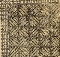 Picture 158 of 399 from Dainty work for pleasure and profit (1893), leaf 147