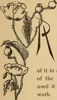 An illustration from Dainty work for pleasure and profit (1893)