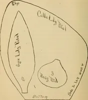 Picture 164 of 399 from Dainty work for pleasure and profit (1893), leaf 158