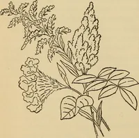 An illustration from Dainty work for pleasure and profit (1893)