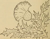 Picture 169 of 399 from Dainty work for pleasure and profit (1893), leaf 166