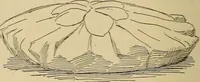 An illustration from Dainty work for pleasure and profit (1893)
