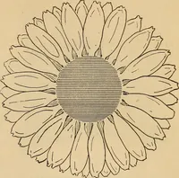 An illustration from Dainty work for pleasure and profit (1893)