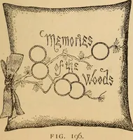 Picture 209 of 399 from Dainty work for pleasure and profit (1893), leaf 195
