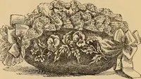 Picture 212 of 399 from Dainty work for pleasure and profit (1893), leaf 197
