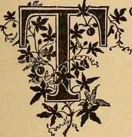 An illustration from Dainty work for pleasure and profit (1893)