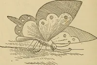 An illustration from Dainty work for pleasure and profit (1893)