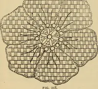 Picture 232 of 399 from Dainty work for pleasure and profit (1893), leaf 216