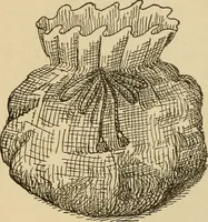 Picture 238 of 399 from Dainty work for pleasure and profit (1893), leaf 222