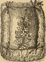 Picture 243 of 399 from Dainty work for pleasure and profit (1893), leaf 225