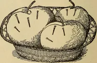 Picture 245 of 399 from Dainty work for pleasure and profit (1893), leaf 226